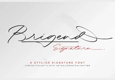 Fontbundles Brigend Signature 2022 слив