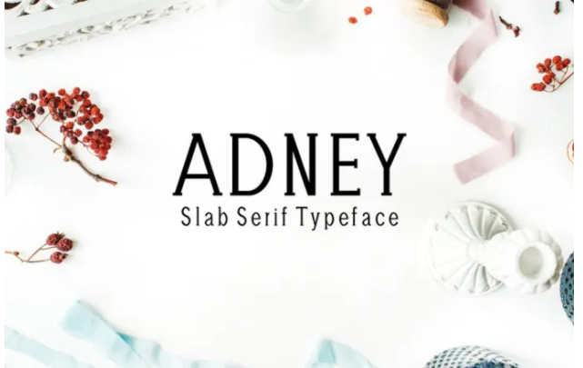 Fontbundles Adney Font 2021 слив курса