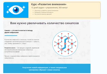Развитие внимания - Викиум 2016 слив