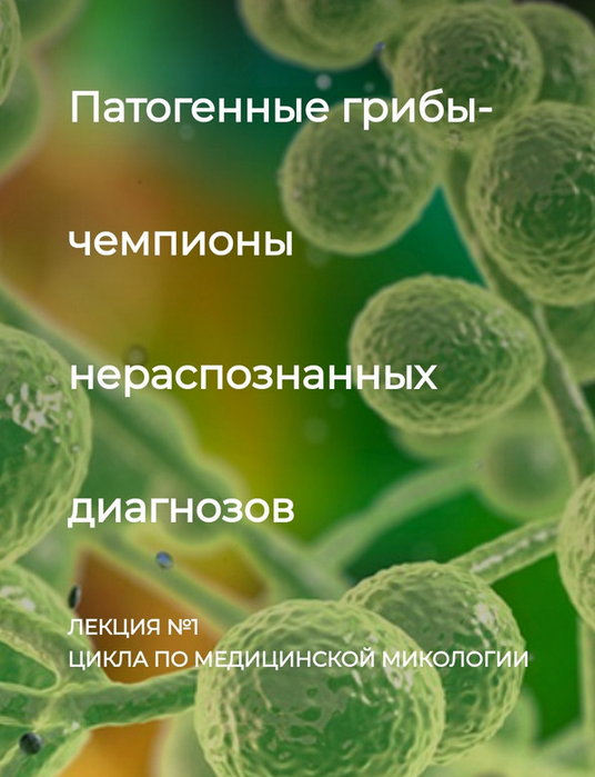 Игорь Кауфман Патогенные грибы - чемпионы нераспознанных диагнозов. Лекция №1 2023 слив курса