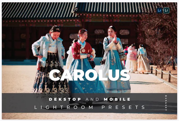 Elements.Envato Carolus Desktop and Mobile Lightroom Preset 2021 слив курса
