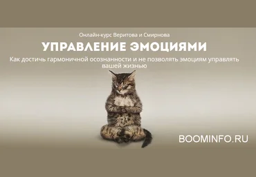 Веритов, Смирнов Управление эмоциями 2018 слив