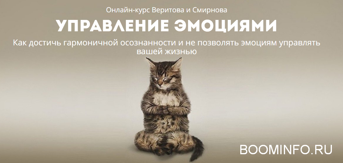 Веритов, Смирнов Управление эмоциями 2018 слив курса
