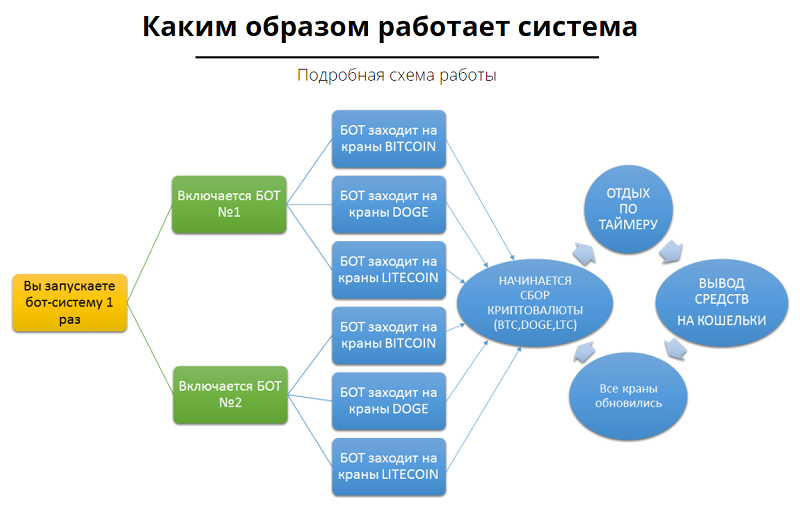Биткоин Маэстро - Павел Дуглас слив курса