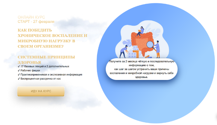 Дарья Ермишина Хроническое воспаление, митохондрии и микробная нагрузка 4.0 2023 слив курса