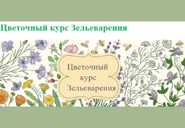 Ирина Таро dom_ulitki Цветочный курс. Новый! 2022 скачать слив
