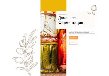 Угрюмова Ольга Домашняя Ферментация 2023 слив