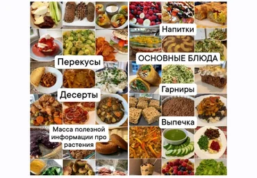 Medical Medium Рецепты для исцеления по методике Медикал Медиум 2024 слив