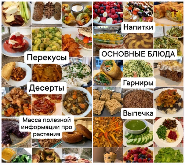Medical Medium Рецепты для исцеления по методике Медикал Медиум 2024 слив курса