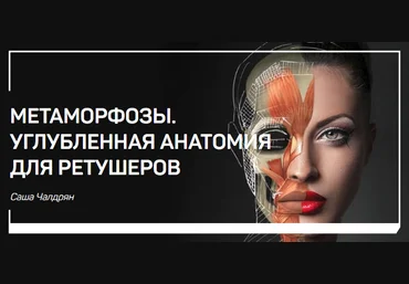 Метаморфозы. Углубленная анатомия для ретушеров 2018 слив