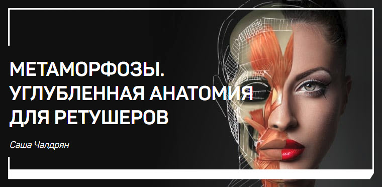 Метаморфозы. Углубленная анатомия для ретушеров 2018 слив курса