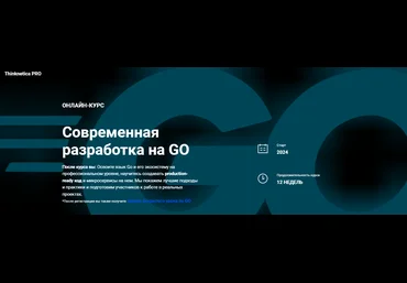 Thinknetica Дмитрий Титов - Cовременная разработка на GO 2023 слив