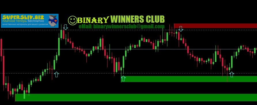 Binary Winners Club Стратегия для бинарных опционов Pro ITM Miner VIP Edition 2019 слив курса