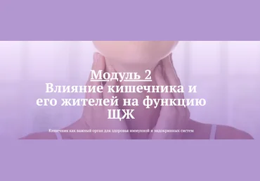 Лариса Чумак endo_doc_ Модуль 2: Влияние кишечника и его жителей на функцию ЩЖ 2021 слив