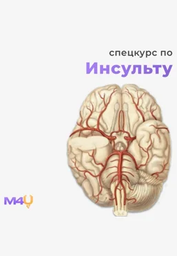 Medforyou - школа медицины Спецкурс по инсульту 2025 скачать слив