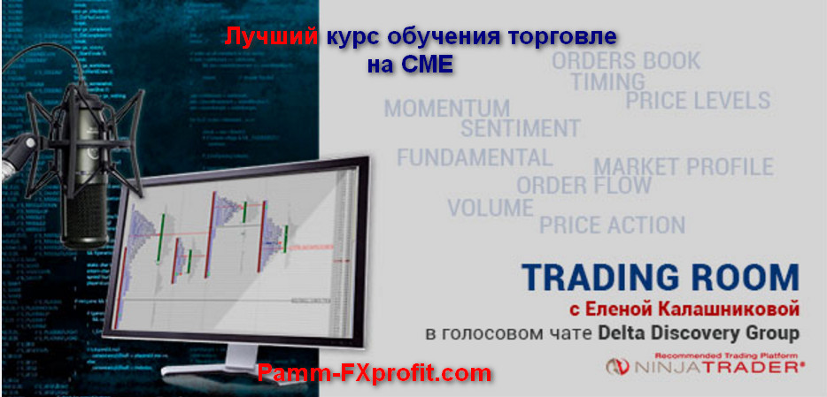 Елена Калашникова Понимание рынка от ESDaytrader. Эксклюзивное обучение трейдингу на CME слив курса