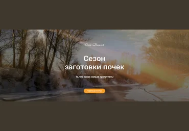 Школа траволечения Ольги Данилюк Сезон заготовки почек 2022 слив