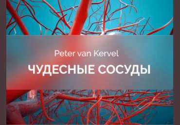 Питер Ван Кервель Краниосакральная академия Чудесные сосуды 2025 скачать слив