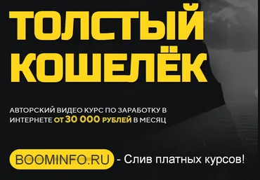 Алёна Красавина Толстый кошелёк 2019 Продвинутый слив
