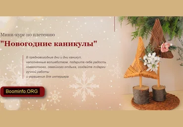Loza-school Мини-курс по плетению «Новогодние каникулы» 2020 слив