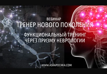 Антон Шапочка Тренер нового поколения. Функциональный тренинг через призму неврологии 2021 слив