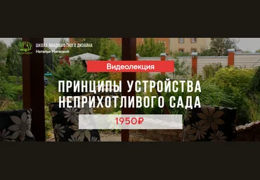 Наталья Мягкова Принципы устройства неприхотливого сада 2023 слив
