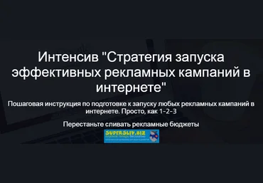 Надежда Раюшкина Стратегия запуска эффективных рекламных кампаний в интернете 2019 слив