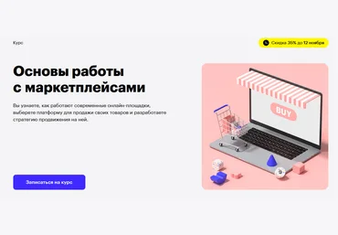 Алина Гончаренко, Александр Чайка Skillbox Основы работы с маркетплейсами 2021 слив