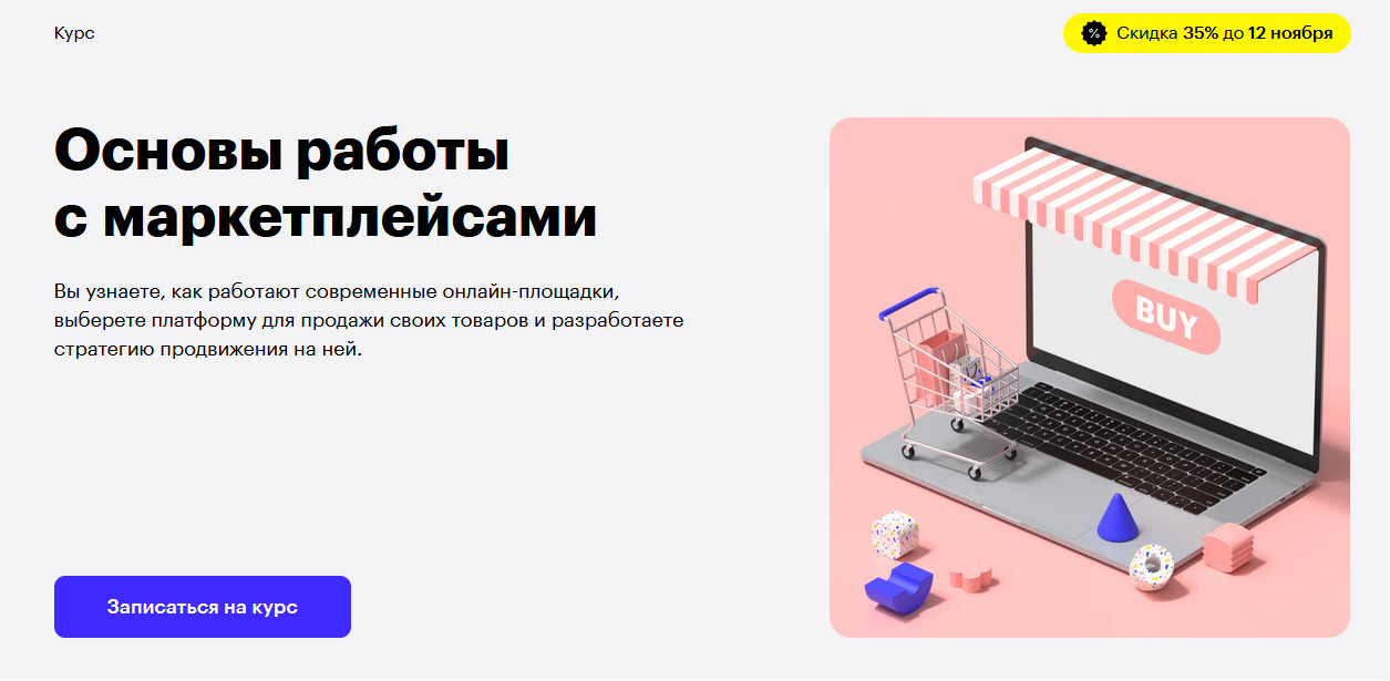 Алина Гончаренко, Александр Чайка Skillbox Основы работы с маркетплейсами 2021 слив курса