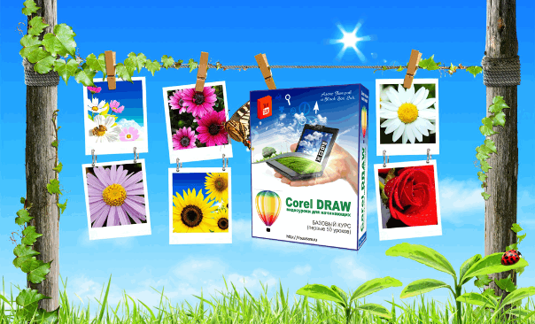 Coral DRAW видеоуроки для начинающих. Алекс Петров слив курса