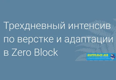Максим Ширко Продвинутая верстка и адаптация сайтов под мобильные устройства в Zero Block 2019 слив