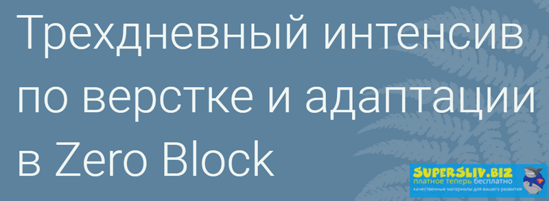 Максим Ширко Продвинутая верстка и адаптация сайтов под мобильные устройства в Zero Block 2019 слив курса
