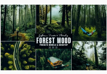Elements.Envato Forest Photoshop Action & Lightrom Presets 2021 слив