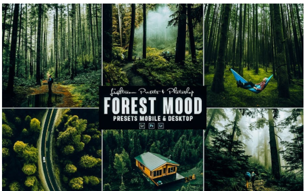 Elements.Envato Forest Photoshop Action & Lightrom Presets 2021 слив курса