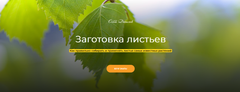 Ольга Данилюк Заготовка листьев 2023 слив курса