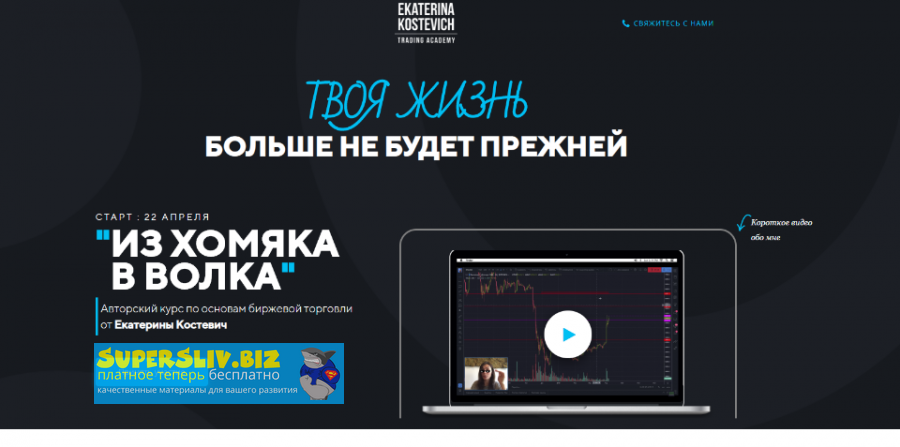 Екатерина Костевич Из Хомяка в Волка 5.0. Тариф Wall Street 2019 слив курса