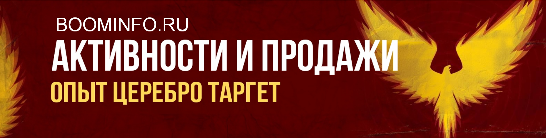 Церебро Таргет Обучение от Церебро: активности и продажи 2018 слив курса
