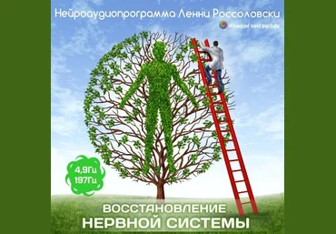 Восстановление нервной системы - Россоловски слив