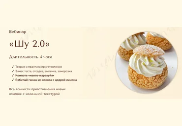 Вера Никандрова Шу 2.0 2022 скачать слив