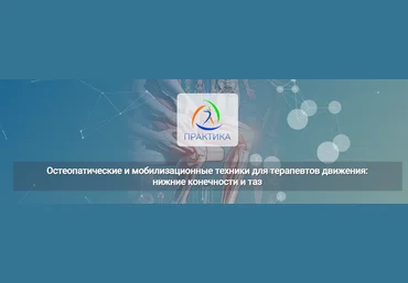 Е.Шинина, Е.Долгова Остеопатические и мобилизационные техники для терапевтов движения 2025 слив