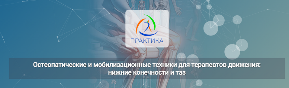 Е.Шинина, Е.Долгова Остеопатические и мобилизационные техники для терапевтов движения 2025 слив курса