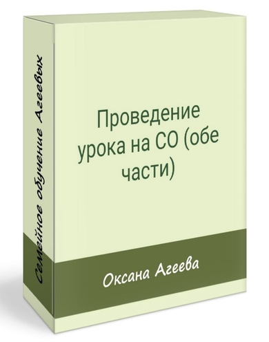 Семейное обучение Агеевых Проведение урока на СО 2023 слив курса