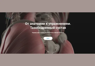 Антон Шапочка, Михаил Касаткин От анатомии к упражнениям. Тазобедренный сустав. Кадавер 2022 слив
