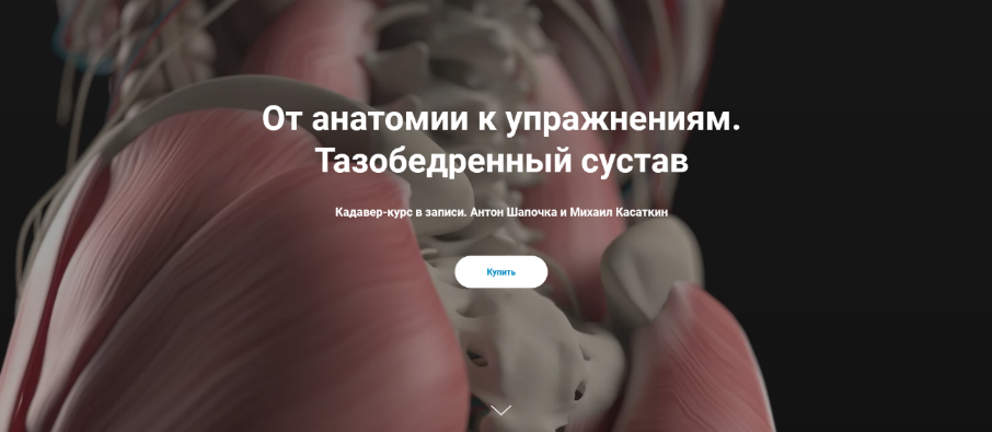 Антон Шапочка, Михаил Касаткин От анатомии к упражнениям. Тазобедренный сустав. Кадавер 2022 слив курса