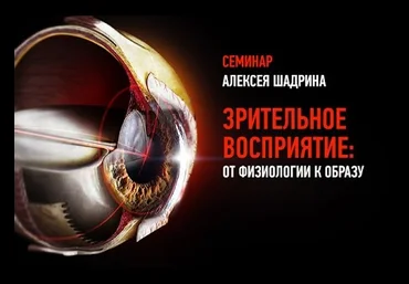 Зрительное восприятие: от физиологии к образу - Шадрин слив