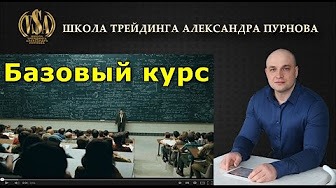 Александр Пурнов - ВИДЕОКУРС «БАЗОВЫЙ» слив курса