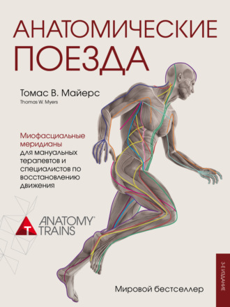 Томас Майерс Анатомические поезда слив курса