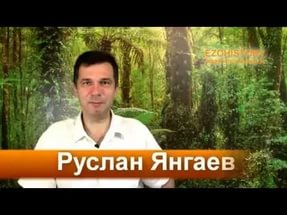 Путь с сердцем - Янгаев 2015 слив курса
