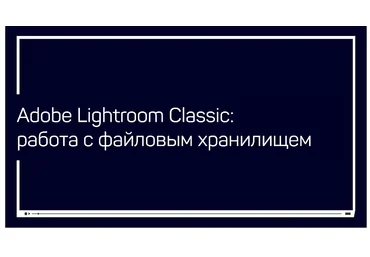Дмитрий Шатров Adobe Lightroom Classic: работа с файловым хранилищем 2020 слив