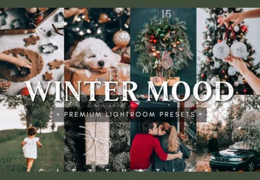 Creativemarket Winter Mood Holiday Lightroom Presets 2021 слив